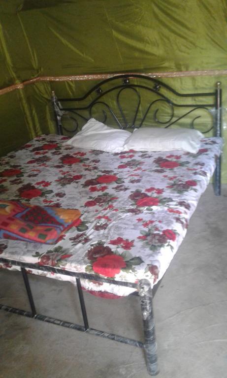 Shanti Guest House 阿姆波尔 外观 照片